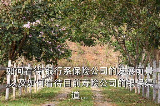如何看待 銀行系保險(xiǎn)公司的發(fā)展前景,以及如何看待目前壽險(xiǎn)公司的銀保渠道...