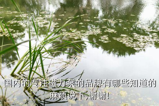 國內的專注磁力泵的品牌有哪些知道的麻煩說下,謝謝!