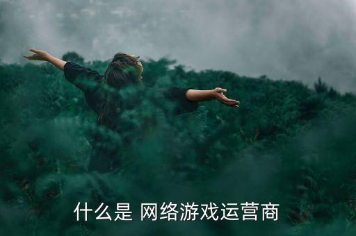 什么是 網(wǎng)絡(luò)游戲運(yùn)營商
