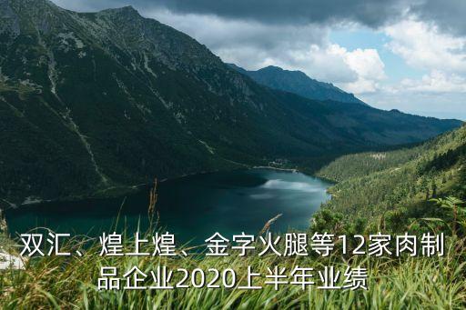 雙匯、煌上煌、金字火腿等12家肉制品企業(yè)2020上半年業(yè)績