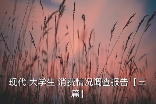現(xiàn)代 大學(xué)生 消費(fèi)情況調(diào)查報(bào)告【三篇】