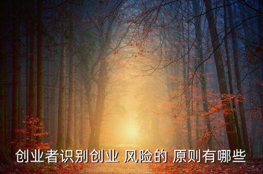 創(chuàng)業(yè)者識別創(chuàng)業(yè) 風(fēng)險的 原則有哪些