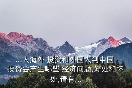 投資經(jīng)濟(jì)主要問(wèn)題