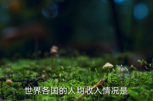 中國(guó)流動(dòng)人口平均工資