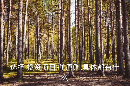 選擇 投資項(xiàng)目的 原則,具體都有什么