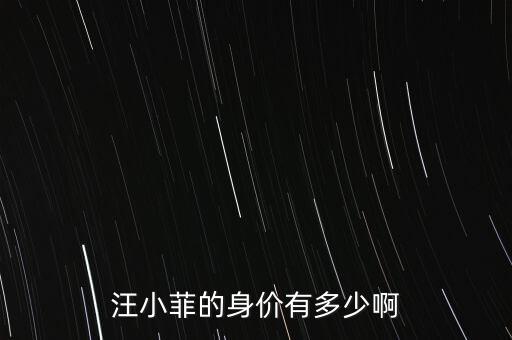 汪小菲的身價(jià)有多少啊
