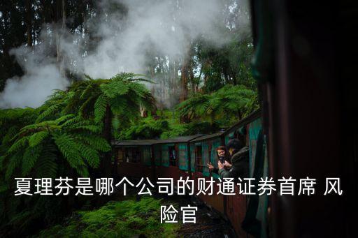 夏理芬是哪個公司的財通證券首席 風(fēng)險官