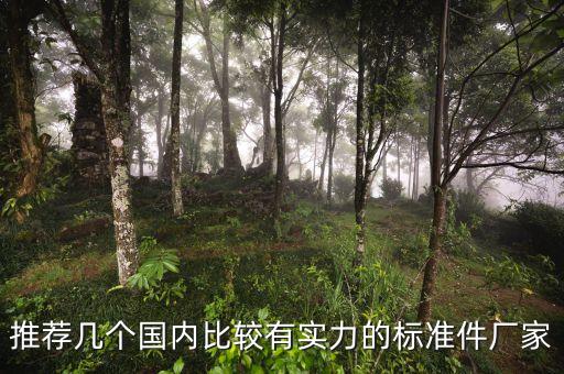 推薦幾個國內(nèi)比較有實力的標準件廠家