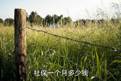 北京最低社?；鶖?shù)2016