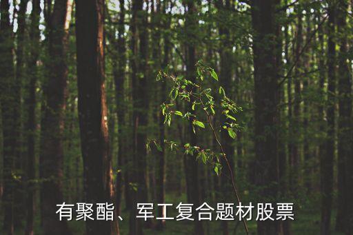 有聚酯、軍工復合題材股票