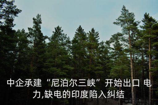 烏拉圭電力投資,中國投資烏拉圭