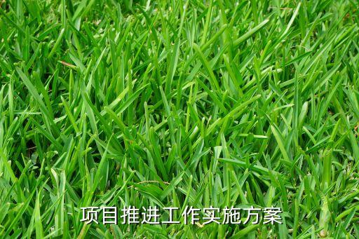  項目推進(jìn)工作實施方案