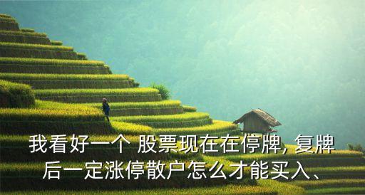 我看好一個 股票現(xiàn)在在停牌, 復(fù)牌后一定漲停散戶怎么才能買入、