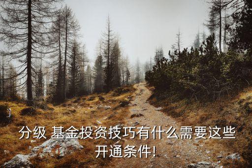  分級 基金投資技巧有什么需要這些開通條件!