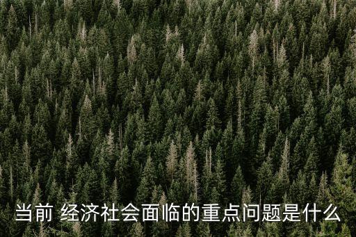 當(dāng)前 經(jīng)濟(jì)社會面臨的重點(diǎn)問題是什么