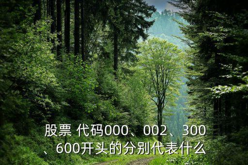  股票 代碼000、002、300、600開頭的分別代表什么