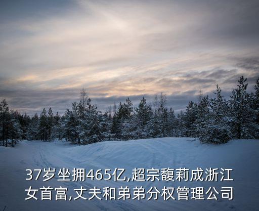 2015年中國億萬富翁