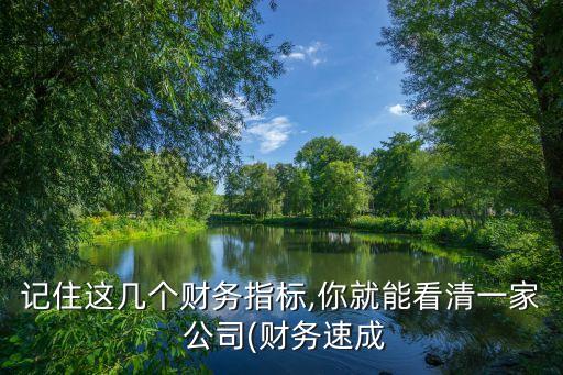 記住這幾個(gè)財(cái)務(wù)指標(biāo),你就能看清一家 公司(財(cái)務(wù)速成