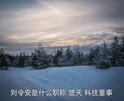 劉令安是什么職稱(chēng) 楚天 科技董事
