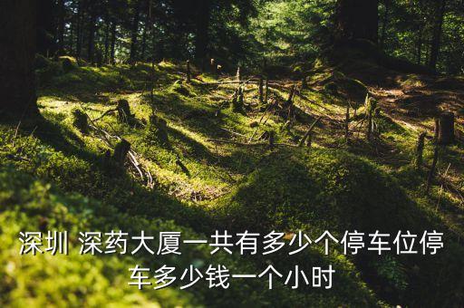 深藥投資擔(dān)保控股有限公司