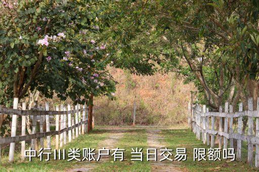 中行Ⅲ類賬戶有 當(dāng)日交易 限額嗎