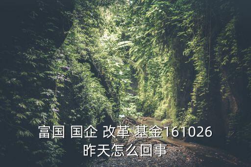富國(guó) 國(guó)企 改革 基金161026昨天怎么回事