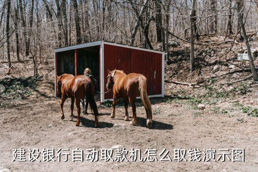 建設(shè)銀行自動取款機怎么取錢演示圖