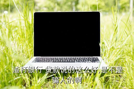  渣打銀行 貸款說的這么好,是不是騙人的啊