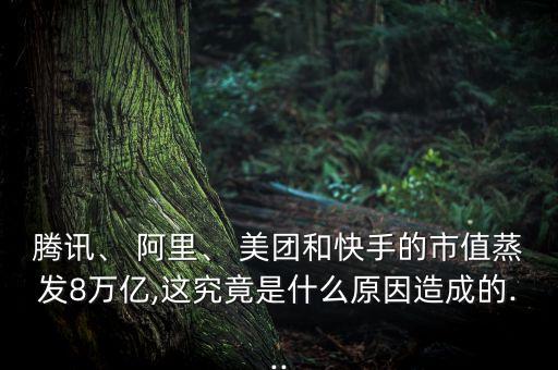 騰訊、 阿里、 美團(tuán)和快手的市值蒸發(fā)8萬億,這究竟是什么原因造成的...
