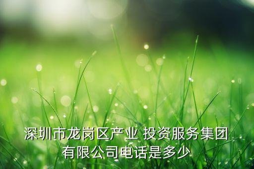  深圳市龍崗區(qū)產業(yè) 投資服務集團 有限公司電話是多少