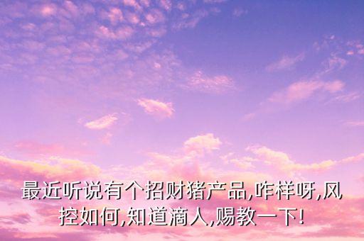 最近聽(tīng)說(shuō)有個(gè)招財(cái)豬產(chǎn)品,咋樣呀,風(fēng)控如何,知道滴人,賜教一下!