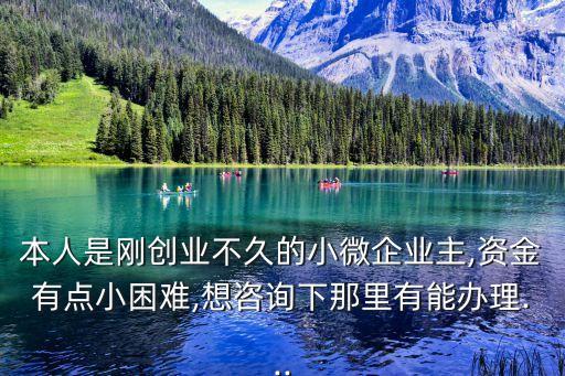 溫州中安擔保公司,溫州太平洋擔保公司地址