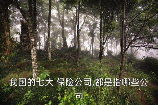 我國的七大 保險(xiǎn)公司,都是指哪些公司
