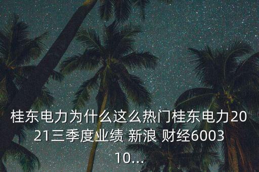 桂東電力為什么這么熱門(mén)桂東電力2021三季度業(yè)績(jī) 新浪 財(cái)經(jīng)600310...