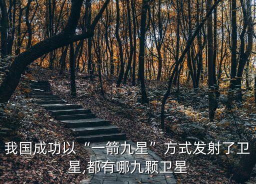 我國(guó)成功以“一箭九星”方式發(fā)射了衛(wèi)星,都有哪九顆衛(wèi)星
