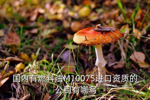 國內有燃料油M10075進口資質的 公司有哪寫