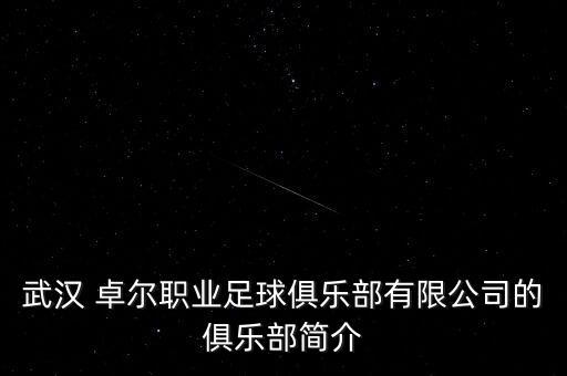 武漢 卓爾職業(yè)足球俱樂部有限公司的俱樂部簡介