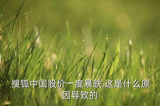  搜狐中國股價一度暴跌,這是什么原因?qū)е碌? class=