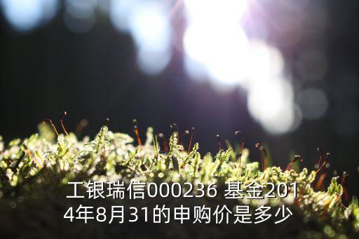  工銀瑞信000236 基金2014年8月31的申購(gòu)價(jià)是多少