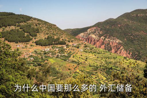 為什么中國(guó)要那么多的 外匯儲(chǔ)備