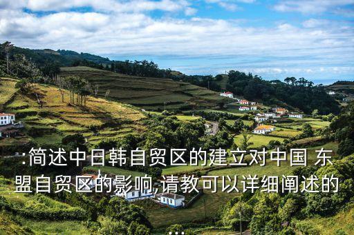 :簡述中日韓自貿(mào)區(qū)的建立對中國 東盟自貿(mào)區(qū)的影響,請教可以詳細闡述的...