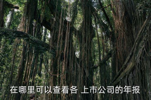 中國(guó)上市企業(yè)點(diǎn)評(píng)網(wǎng)網(wǎng)址