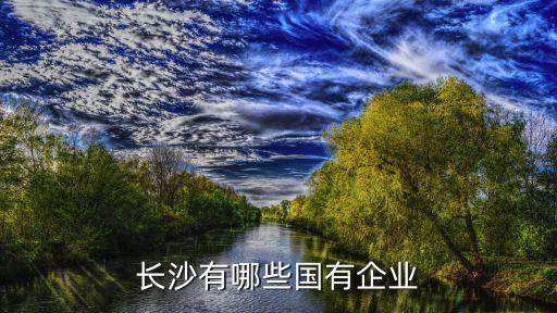 湖南銀河信息產業(yè)股份有限公司,鴻聯九五信息產業(yè)股份有限公司