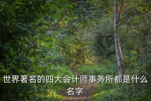 世界著名的四大會計師事務所都是什么名字