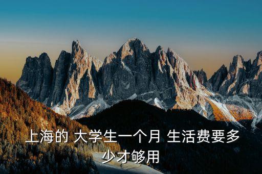  上海的 大學(xué)生一個月 生活費(fèi)要多少才夠用