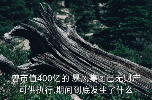 暴風(fēng)科技收購哪個(gè)公司