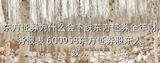 東方證券為什么會下跌東方證券全年財(cái)務(wù)報(bào)表 600958東方證券股東人數(shù)...