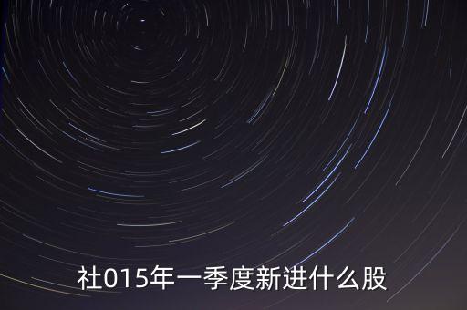社?；鹨涣惆私M合,全國社保基金組合