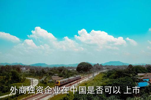 外商獨(dú)資企業(yè)在中國(guó)是否可以 上市