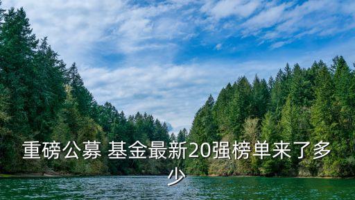 重磅公募 基金最新20強(qiáng)榜單來了多少